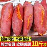 瑰季板栗蜜薯10斤红薯西瓜红沙地蜜薯小香薯新鲜山东地瓜山芋现挖 红薯  带箱5斤装小果