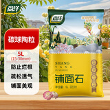 尚洋碳球陶粒5L(15-30mm) 盆栽垫底拌土回填养花无土栽培绿植多肉土