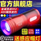 金诚顶点北京H12强光超亮钓鱼灯台钓大功率调焦蓝光夜钓灯野钓激光镭射炮 北京顶点 H12 单灯套餐