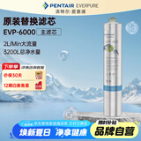 爱惠浦 Everpure EVP-6000 净水器主滤芯