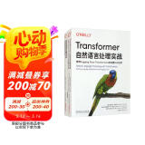 Transformer自然语言处理+Hugging Face构建NLP应用+大模型预训练 套装共2册 DeepSeek赋能