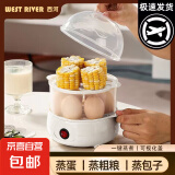 煮蛋器蒸蛋器电蒸锅小型炖蒸煮一体小蒸锅煎蛋锅小型蒸煮鸡蛋神器家用宿舍电煎锅小电器小电锅 双层 【蒸煮神器】两层蒸笼 无量杯