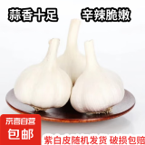 京喜自营大蒜头紫白皮大蒜京东买菜生鲜调料即食凉拌大蒜 【优选】净重 1斤 单果3.5-5cm