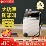 索爱（soaiy）S318PRO小蜜蜂扩音器教师专用防啸叫10W大功率U盘TF卡麦克风喇叭导游蓝牙音箱音响便携式 睿智黑