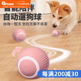 华元宠具（hoopet）狗狗玩具球耐咬自嗨解闷自动逗狗神器宠物电动小狗智能弹力遛狗球 自动逗狗球 粉色