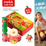 乐淇（ROCKIT）新西兰火箭筒苹果 3筒装单筒245g起 5粒/筒 生鲜水果礼盒