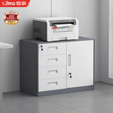 信京办公文件柜铁皮柜矮柜抽屉员工档案资料柜储物柜高580偏四抽灰框