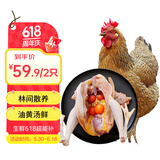 白荡里安徽发货 生鲜鸡肉 黄油老母鸡 净含量2斤*2只 源头直发