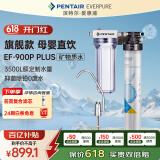 爱惠浦（Everpure） 家用矿物质厨下净水器 大流量0废水直饮 1.8L/分钟3500L处理量 EF-900P Plus