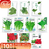 寿禾 20天鸡毛菜种子四季小青菜夏秋蔬菜小白菜油菜上海青阳台菜籽 【四季种】10种蔬菜种子套餐