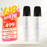 纯麦无线车载麦克风K歌话筒家庭KTV汽车通用等电视专用  Q1PRO冰川白双支