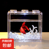 富贵发财斗鱼半月耐活宠物好养纯白热带观赏鱼小型网红婚 精品斗鱼马尾公1条+斗鱼缸 颜色随机