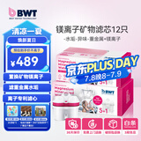 倍世（BWT） 第4代镁离子活力款滤芯 德国技术欧洲原装进口 过滤净水器家用滤水壶净水杯净水壶用 【镁离子】12只装