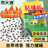 雷灭速苍蝇贴粘灭苍蝇神器灭蝇器粘蚊子苍蝇纸果蝇小飞虫捕蝇神器20张