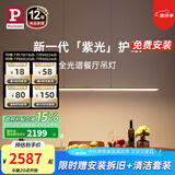 Paulmann P德国柏曼护眼餐厅吊灯全光谱一字长条餐桌吧台LED灯具简约智能 [1.5m加长 雅光黑]支持鸿蒙智联