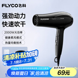 飞科（FLYCO）电吹风机家用便携冷热风护发速干吹风筒2000w大功率FH6231