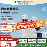 爱惠浦（Everpure）家用厨下 10寸/5微米 前置过滤各品牌通用净水器 PP棉滤芯4支装