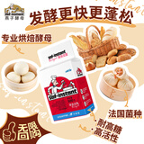 燕子（SAF INSTANT）烘培原料 红燕子 高活性即发干酵母粉 500g