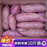 带头降价】2025年新紫薯 紫罗兰5/9斤装带箱沙地紫薯红薯 带箱9-10斤精选品质   紫薯