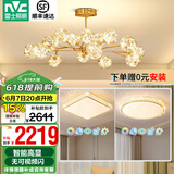 雷士（NVC）北欧现代轻奢智能高显指舒适光萤光客厅吊灯餐厅吊灯灯具灯饰套餐 15头+卧室灯*2 套餐【两室一厅】