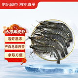 京东超市 海外直采活冻黑虎虾2斤(40-50规格)自营海鲜 烧烤火锅食材做虾滑
