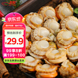 初鲜大号冷冻带黄扇贝肉2斤约80-120颗烧烤火锅食材海鲜水产端午聚餐