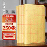 善琏湖笔宣纸米字格毛边纸 毛笔书法纸 28格竹浆描红临摹初学软笔书法练习 9cm*28格米字格-加厚250张