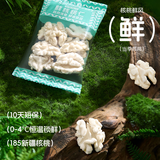 核桃鲜风去皮鲜核桃仁独立小包装【10包】180g 源头直发