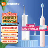小米（MI） 米家电动冲牙器2 家用洗牙器美牙仪 牙齿清洁器 口腔护理  3档模式 专业微气泡喷嘴长续航 米家电动冲牙器2+粉色扫振电动牙刷套装