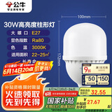 公牛（BULL）LED灯泡高亮柱形灯厂房车间商超食堂 30W球泡暖白光3000KE27螺口