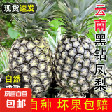 西双版纳黑钻牛奶凤梨 产地直发 当季水果 【尝鲜】1个装小果 单果400g起