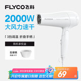 飞科（FLYCO）电吹风机家用发廊大功率2000W速干恒温便携可折叠白色FH6232