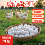 农家散养土鸡蛋 现捡现发 新鲜鸡蛋 40g正负5g溏心蛋生鲜买菜早餐 现发山林蛋4枚160g左右