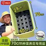 原起点种菜专用盆蔬菜种植箱家用神器大号花盆长方形条塑料户外庭院阳台 【1个】70cm长带底网·普通款 升级款第三代