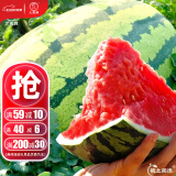 大禹懒汉西瓜种子苗特大适合南方早熟懒人8424麒麟瓜美都无籽水果蔬菜 懒汉王西瓜种子50粒