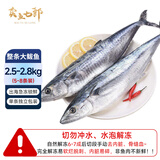 卖鱼七郎 青岛海捕大鲅鱼整条净重5斤（5-8条）马鲛鱼海鲜生鲜鱼类