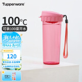 特百惠（Tupperware）茶韵500ML塑料杯 男女学生夏季运动水杯子大容量520送礼物 柔蜜粉