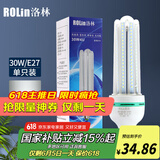 洛林（ROlin）led灯泡节能灯泡 e27大螺口家用商用大功率光源 30W白光
