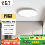 公牛（BULL）吸顶灯IP50防尘防虫卧室阳台过道灯MX-A018C-AS全白18W 