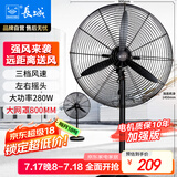 长城（CHANGCHENG）工业风扇电风扇工厂车间大风力落地扇强力超大工业扇商用大功率牛角扇交流定频工业电风扇FL-75