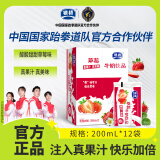 银桥酸甜草莓口味牛奶饮品200ml*12袋装含乳饮料陕西喝的 200mlx12袋