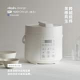 olayks立时 电压力锅 高压锅 家用多功能高压电饭煲快煮智能预约迷你电压力锅 2L适用1-2人用YBW2001B