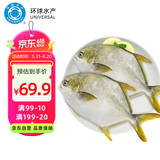 环球水产冷冻南海金鲳鱼2斤/2条 生鲜鱼类 火锅 深海鱼 海鲜水产 家庭聚餐