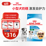皇家皇家狗粮幼犬狗粮幼犬奶糕宠物小型犬MIJ31全价犬粮2-10月8KG