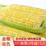 滇味十足（DIANWEISHIZU）水果玉米甜玉米云南金银双色新鲜甜嫩水果玉米棒鲜玉米茄果瓜 金银双色 【精选5斤】（净重 约5-9根）