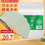 仟农仟滋荷叶整张20张直径约55-62cm超大片嫩荷叶干片荷叶茶荷叶鸡糯米鸡