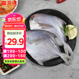 富海锦 渤海银鲳鱼 450g 3条 平鱼 火锅烧烤食材 烤鱼海鲜水产鱼类