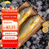 三都港冷冻宁德大黄鱼700g/2条装 黄花鱼 生鲜鱼类 深海鱼 海鲜水产