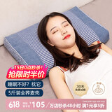蜀国御 5斤装全荞麦皮颈椎硬枕头夏天舒适睡眠成人失眠枕配棉枕套海洋蓝