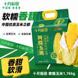 十月稻田 黄糯玉米1.76kg 中国优质玉米之都 四平玉米220g*8根 1.76kg*1袋
